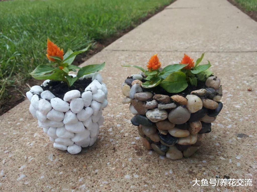 7个养花的极佳创意, 把家里的废旧物品都用上了