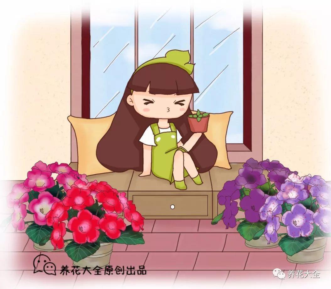 这几种花太好养, 叶子掉盆里, 没几天又能窜出一大盆!