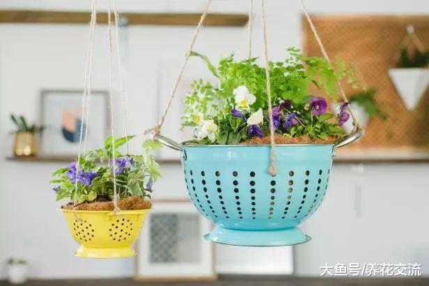 废弃的杂物DIY室内好看的盆栽, 比花高价买的花盆好看十倍