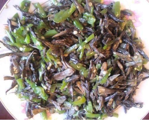 在农村这种菌别错过, 外形像木耳, 一斤可值千元, 你见过么?