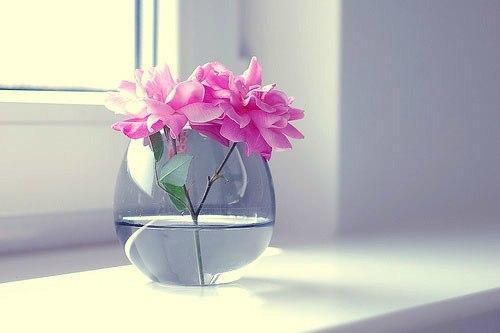 微信里人生感悟的好句子, 句句惊醒梦中人!