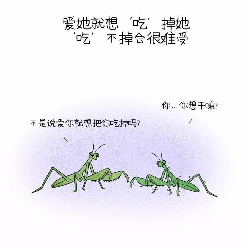 恋爱中, 男生最真实的一面是什么样的?