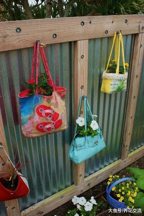 围栏上不种植物就太浪费了, 看花友在墙上种满各种花卉