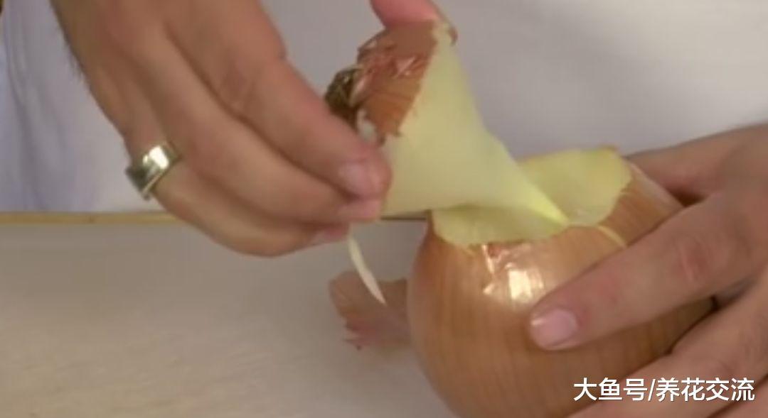 用这种方法切洋葱, 妈妈再也不担心我流眼泪了