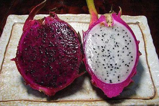 1粒水果籽儿泡水里, 长成最美小盆栽