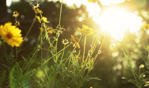 只有十句话, 却让我们在宽容中壮大!