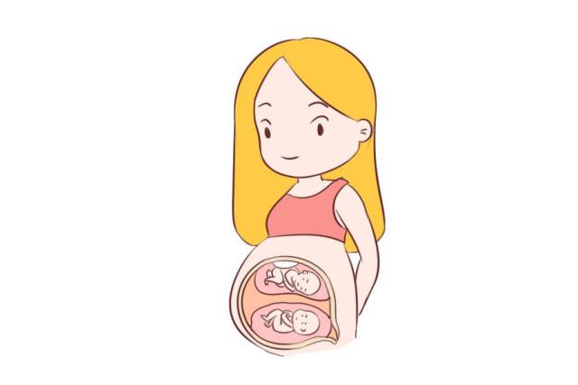 张杰谢娜喜获双胞胎, 试管婴儿引争议
