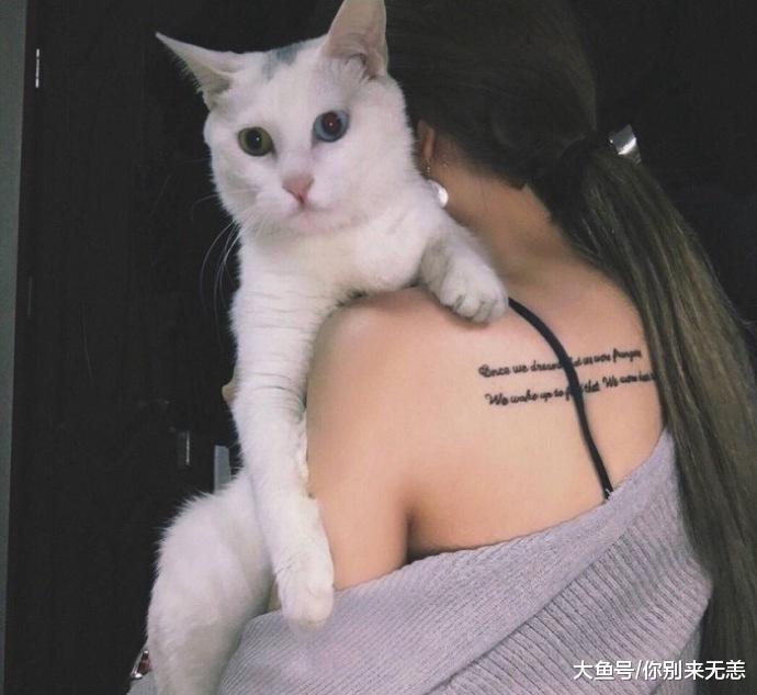 如果能重来, 我肯定不会再这么傻傻的爱他了!