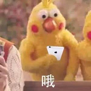 男生有了女票后只关心一件事。
