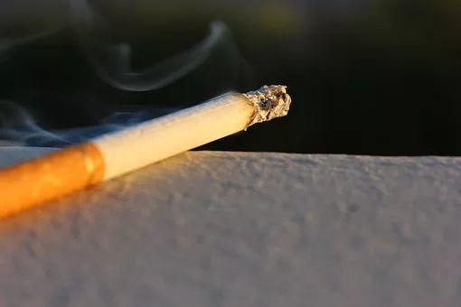 拿烟来养花, 不生一只虫, 花还呼呼长, 效果贼好!