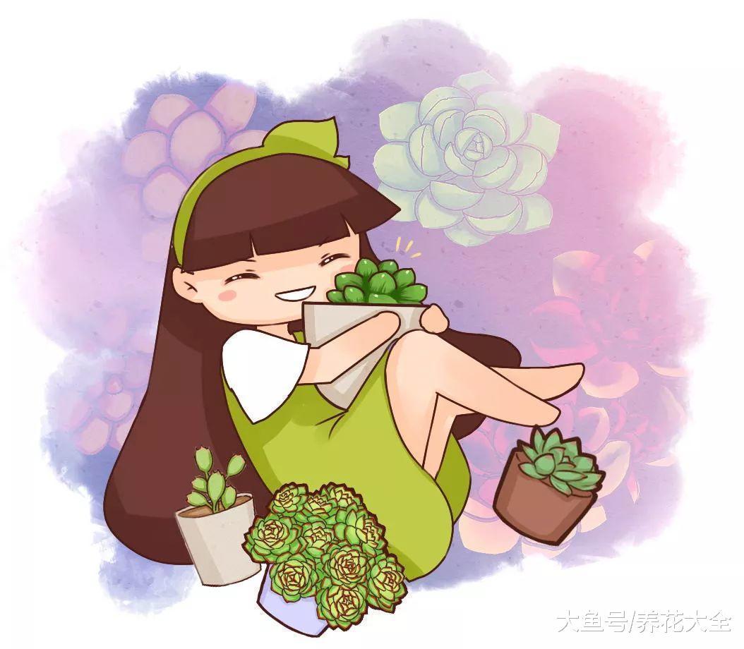 塑料瓶扣多肉上, 竟然越长越水灵, 10天蹭蹭爆盆!