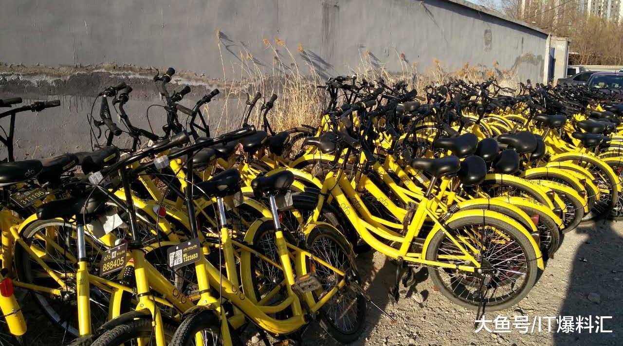 【ofo回应市民至公司总部退押