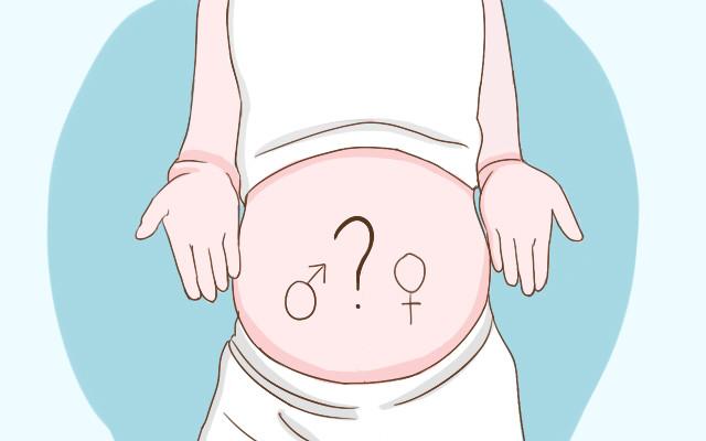 总是好奇胎宝性别? 从胎位、B超等4点让你提前知道宝宝性别