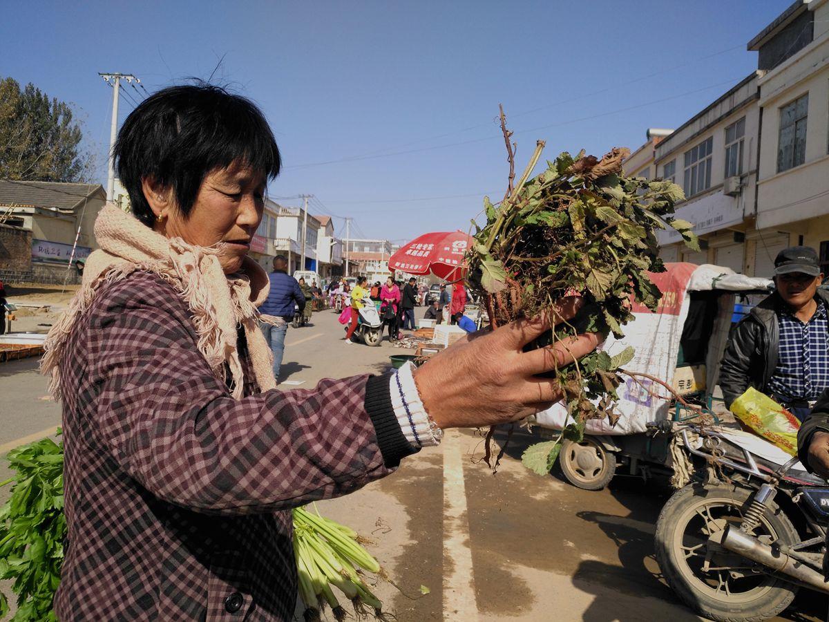 如果你在农村大集上遇到卖这样神草的, 你敢买吗?