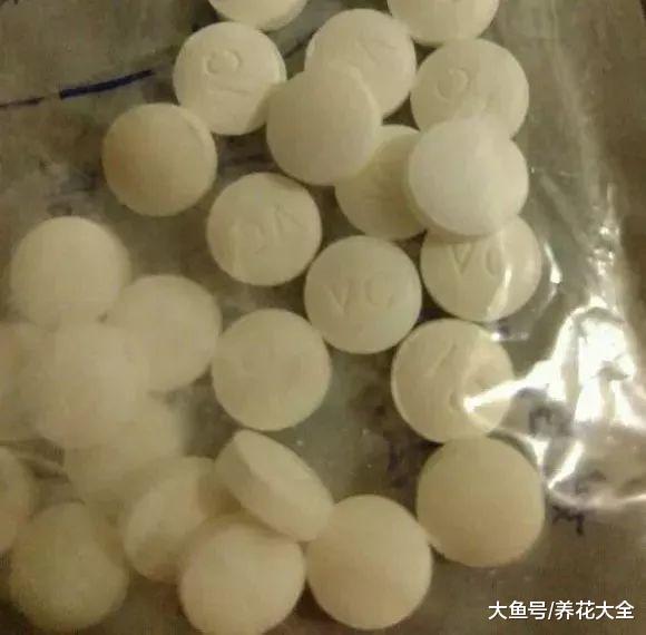 浇水时这么干, 轻松让花长得更茂盛