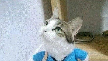 做梦都想C位出道? 《魔域》成就你的梦想