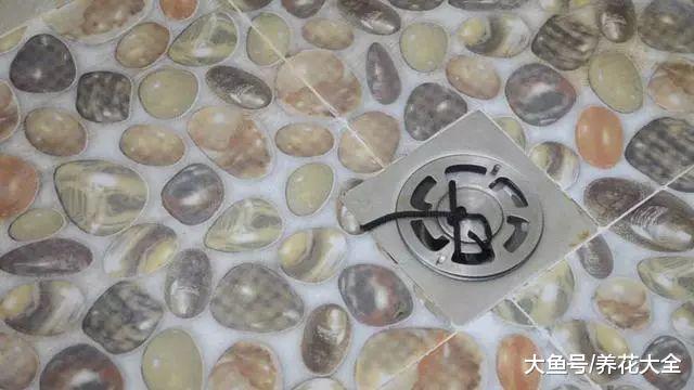 钢丝球串根绳, 10秒疏通下水道, 再也不堵了