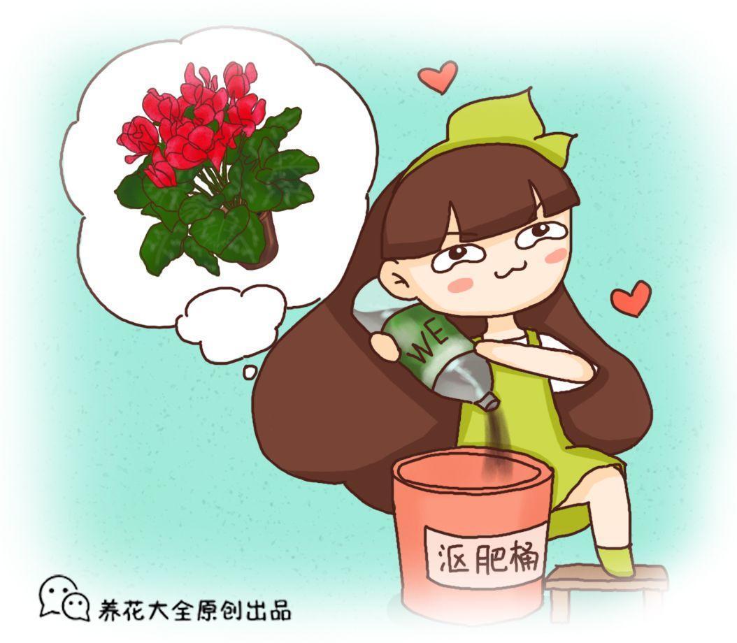 沤肥加点它, 不臭不招虫, 让花猛长撑爆盆!