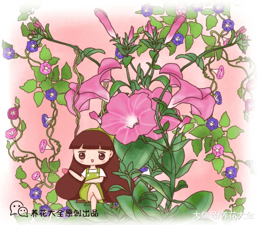 6种花扔盆里就能活, 要是还养死, 就放弃吧