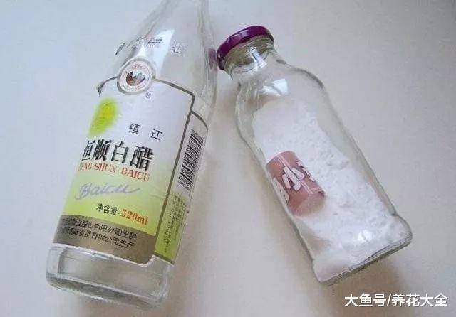 老妈只用1杯醋, 就搞定所有家务活, 厕所厨房一尘不染!