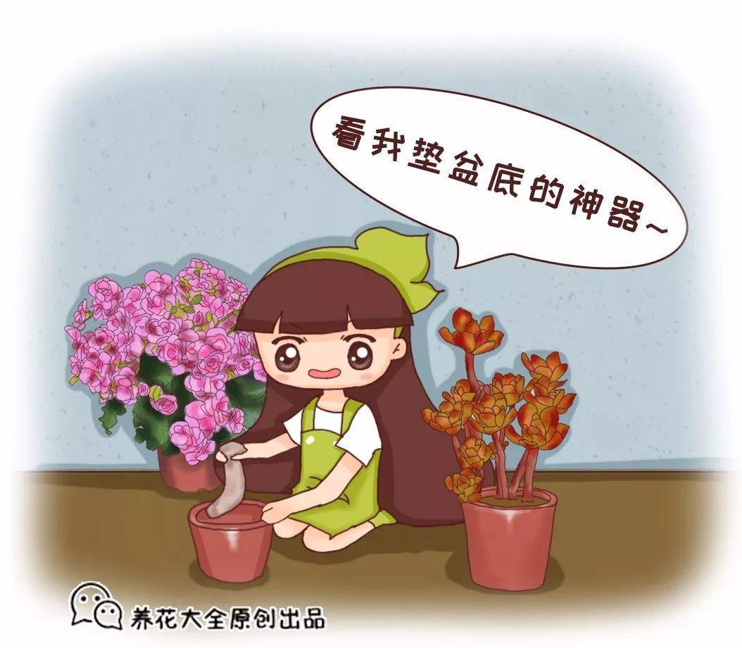 把丝袜垫盆底, 养花不烂根