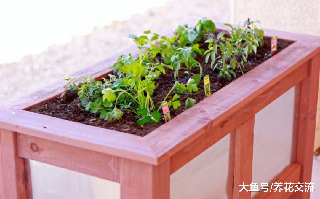 家里放上这13个木花盆, 种出来的花都特别清新靓丽