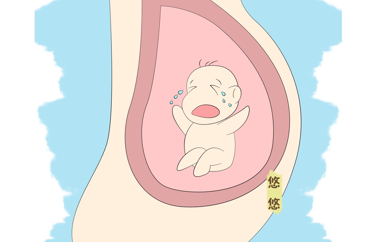 孕期补充营养有技巧, 了解胎儿发育, 补其所需