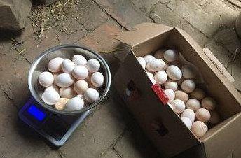 农村集市以假乱真的冒牌货, 无论农村人还是城里人都上过当