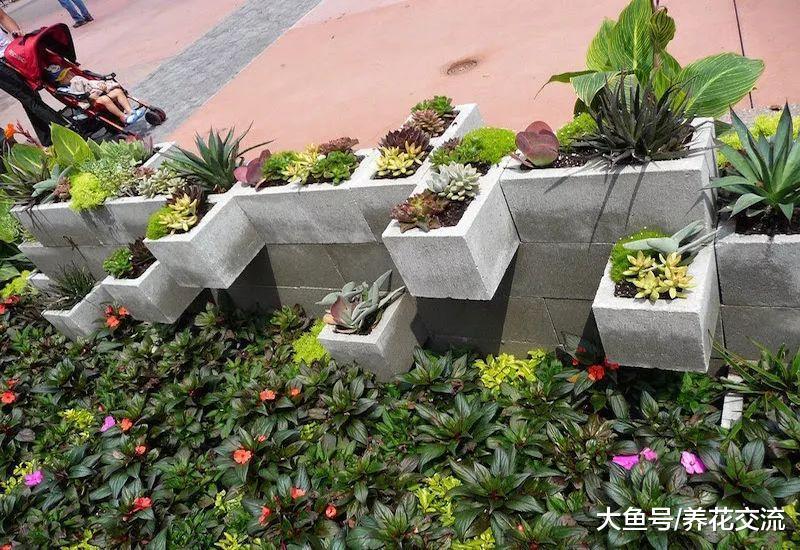 11个巧妙废物改造成小花坛的创意, 养花省钱又美观