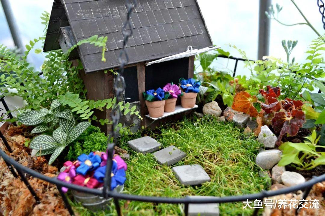 花盆里的微景观, 一个陶盆就能种出后花园的6个方法