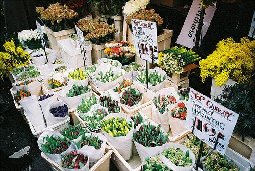 提高卵子质量, 这几点要做好!