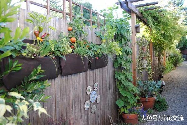 想要在院子里种菜, 做好这11点就能四季吃到有机蔬菜