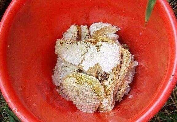 农村大爷山里挖的好东西, 大爷说: 留着自己吃, 给再多钱也不卖