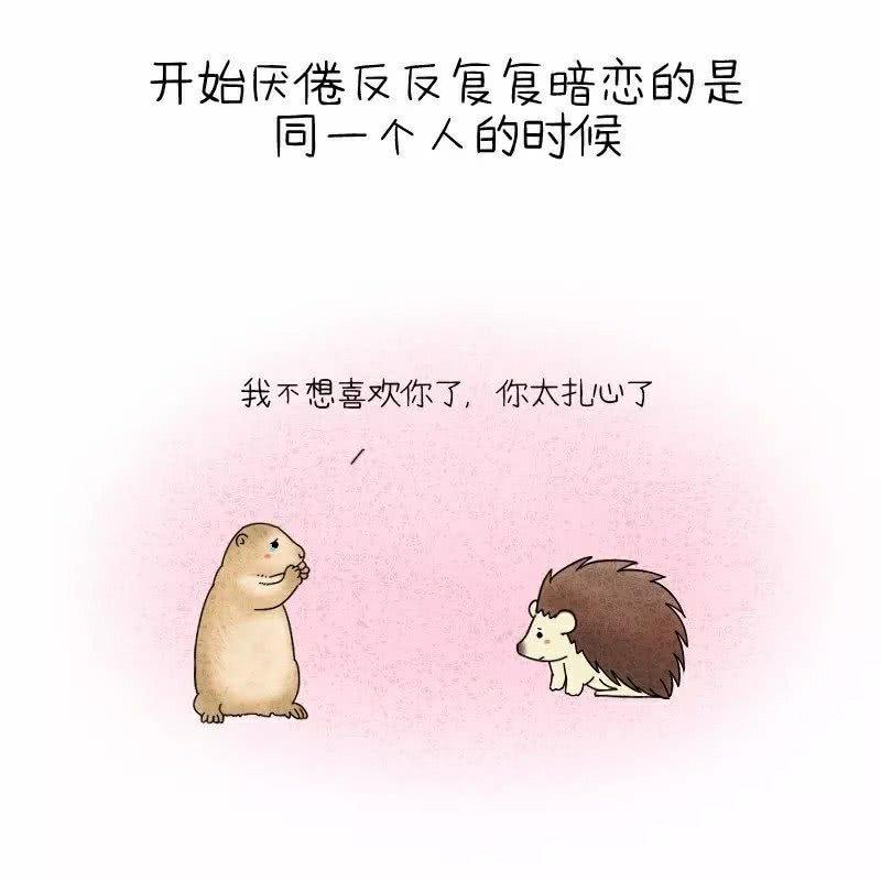 女生在什么时候最需要一个男票?