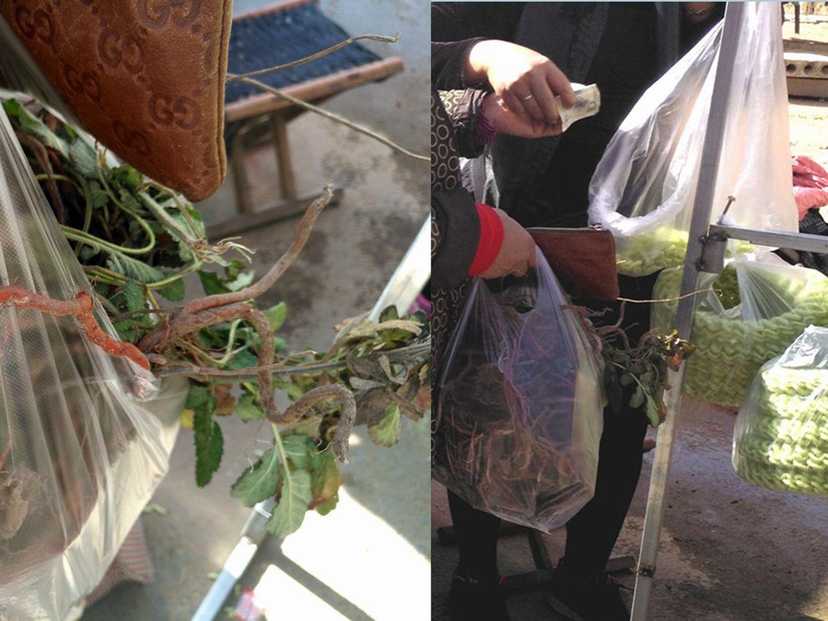 如果你在农村大集上遇到卖这样神草的, 你敢买吗?