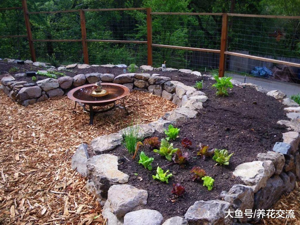 木屑、木渣用来养花, 土壤都不用施肥, 不要把它当垃圾扔了