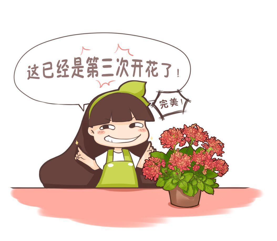 刚刚偷学了一招, 用手轻轻一掐, 这些花一开半年不是事!