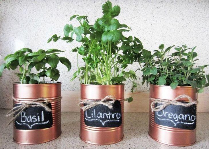 要废弃的花盆捡回来加上一点色彩, 变成人人喜欢的工艺品