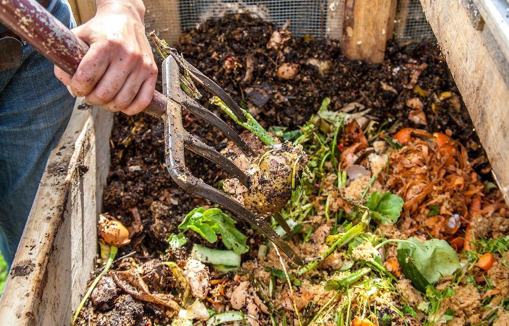 家里的垃圾都用来堆肥, 养花的时候放一些就能常年开花、枝叶旺盛