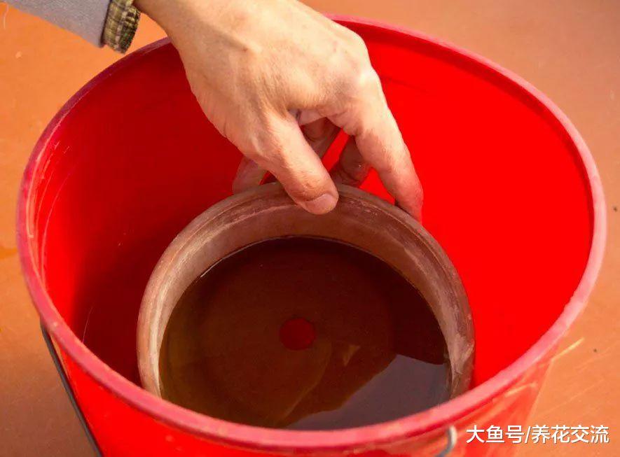 垃圾堆里捡来一堆肮脏的老陶盆, 几分钟就能将它们变成新盆