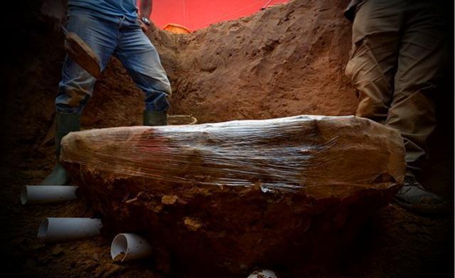 男子在自己后院挖出小型棺材, 专家的话让他欣喜不已