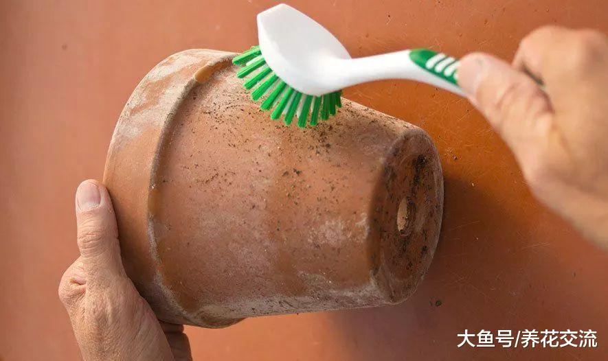 垃圾堆里捡来一堆肮脏的老陶盆, 几分钟就能将它们变成新盆