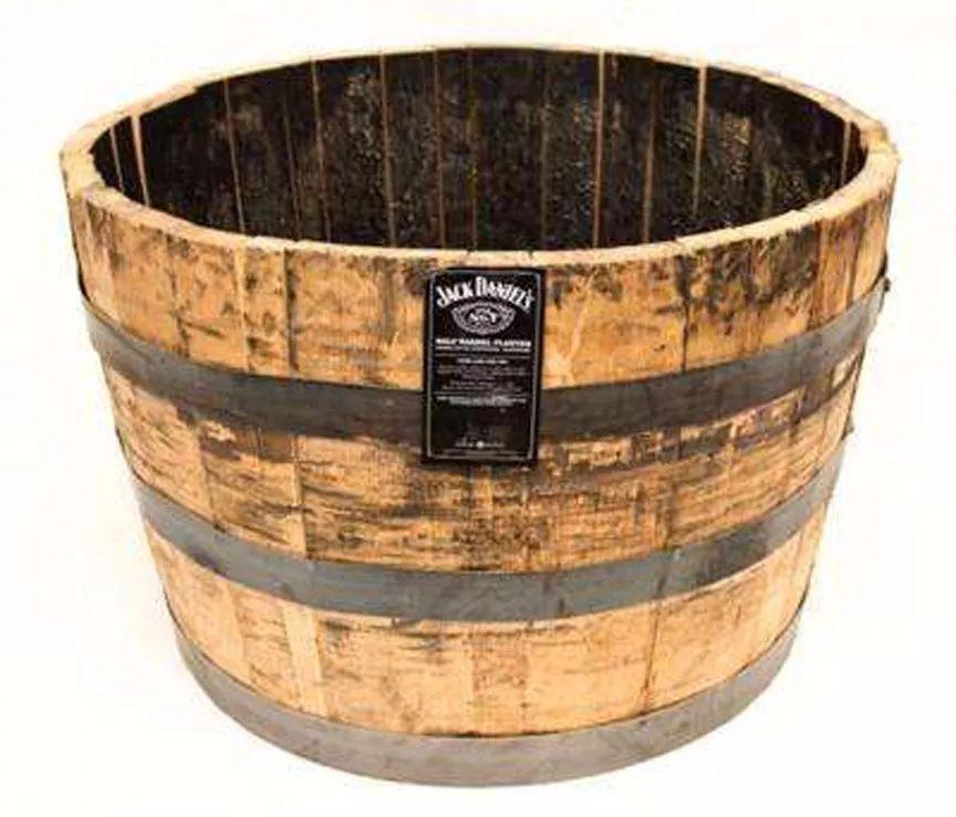 用木板、玻璃瓶和铁桶养出一个个花丛, 在公寓里建一个迷你花园