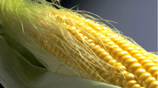 学农村大娘这样煮玉米, 降糖降脂还减肥