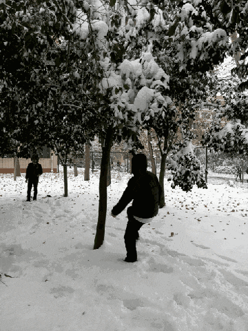 爸妈, 今年冬天又下了很大的雪, 我也冷但不能回家