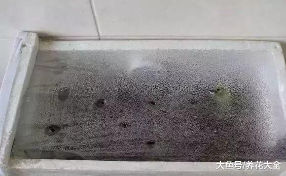 天冷扦插生根慢? 给花铺床电热试试