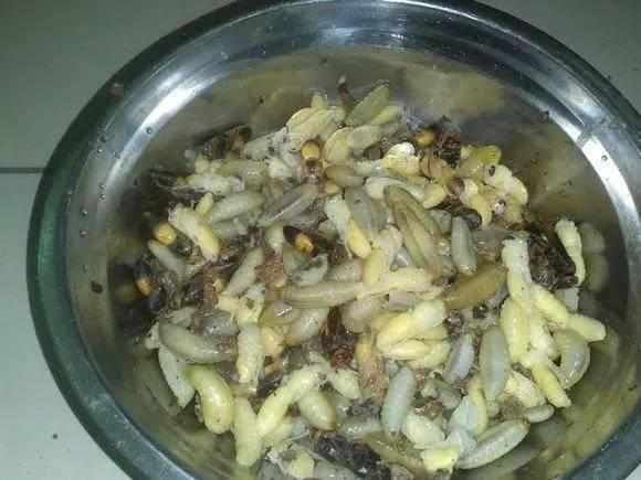 农村人从来都不吃的东西, 在城里的饭店里卖到了好价