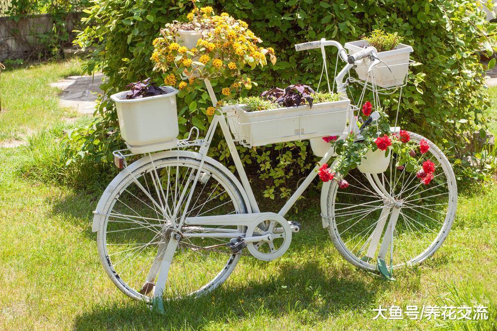 7个养花的极佳创意, 把家里的废旧物品都用上了