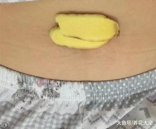 长途车司机教的妙招, 晕车晕船都管用, 春运轻松回家!