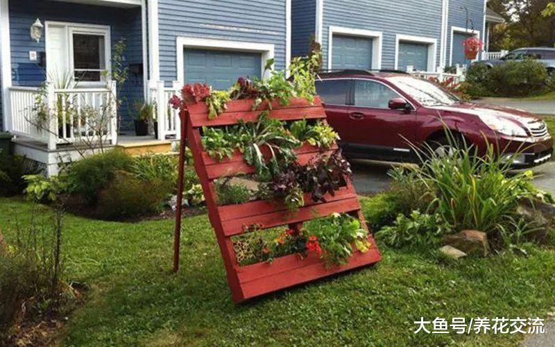 杂物间捡来的家居用品, 栽种这些植物后变成诱人的花坛